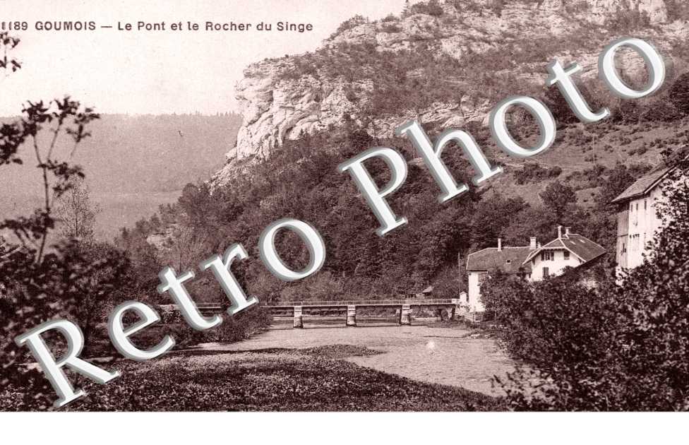 Le Pont et le Rocher du Singe