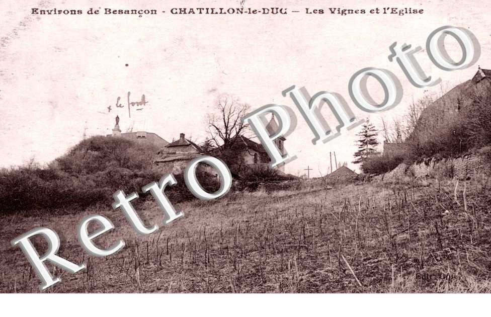 Les Vignes et l&#039;Eglise