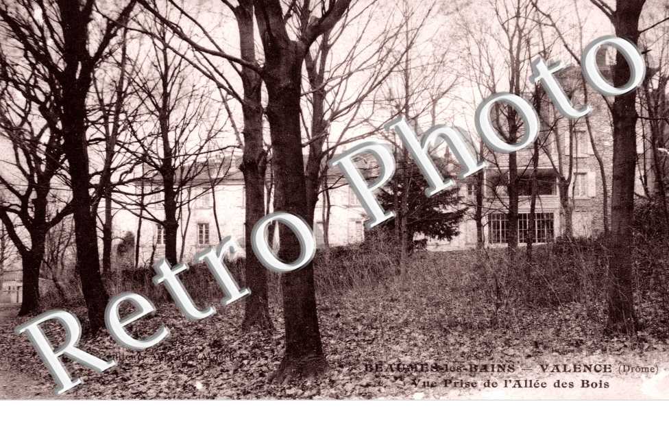 Vue prise de l'allee des bois