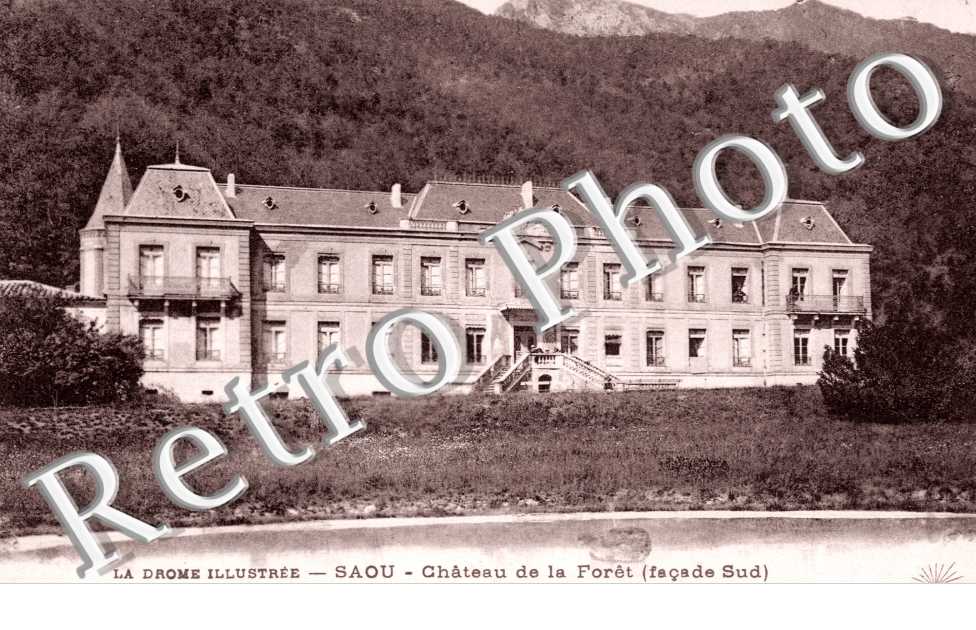 Chateau de la foret