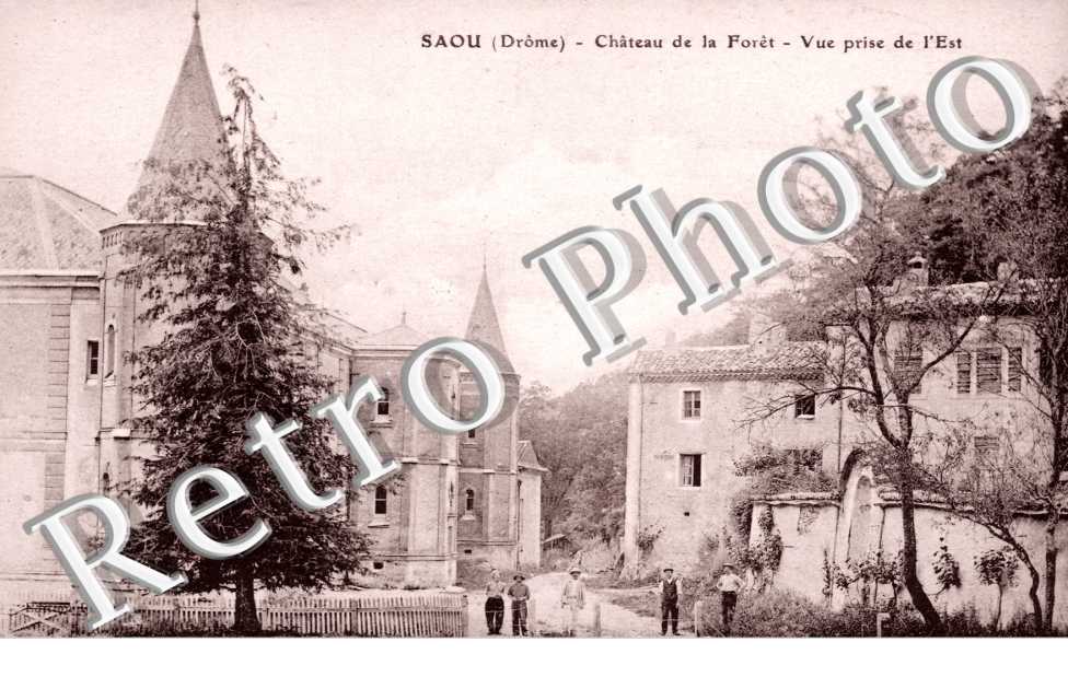 Chateau de la foret