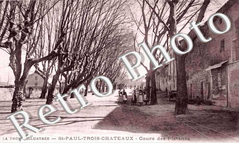 Cours des platanes