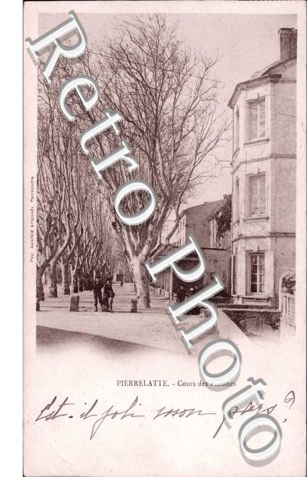 cours des platanes