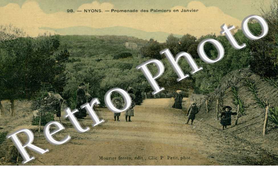 Promenade des Palmiers en Janvier