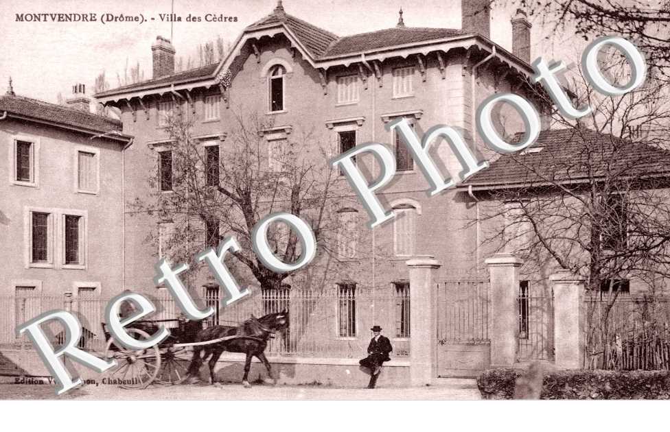 Villa des cedres