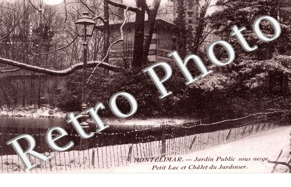 jardin public sous la neige