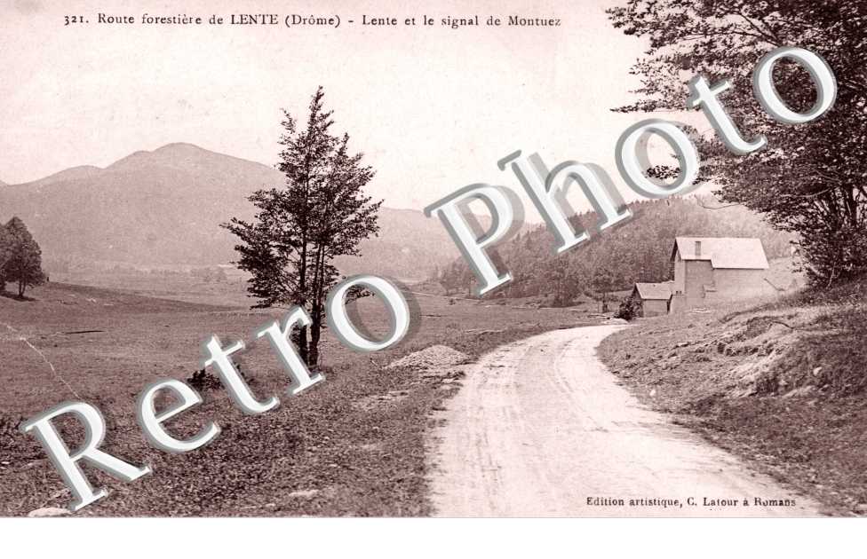 Route forestiere - Lente et le signal de Montuez