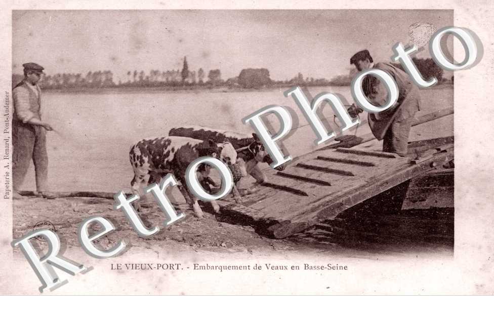 Embarquement des veaux