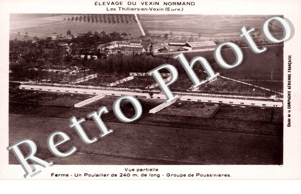 Un poulailler - ferme - Groupe de Poussinieres
