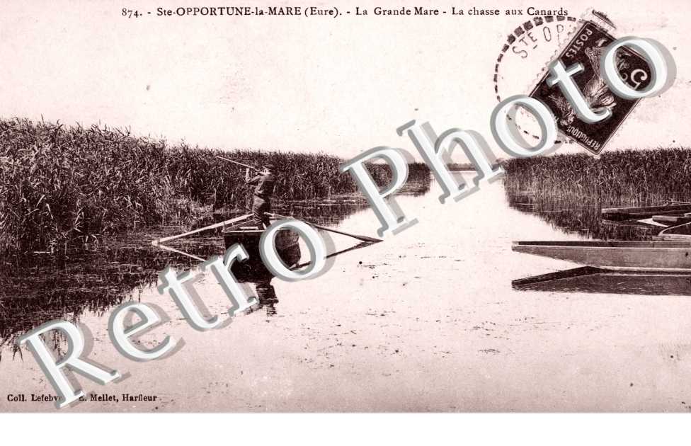 La grande mare - chasse aux canards