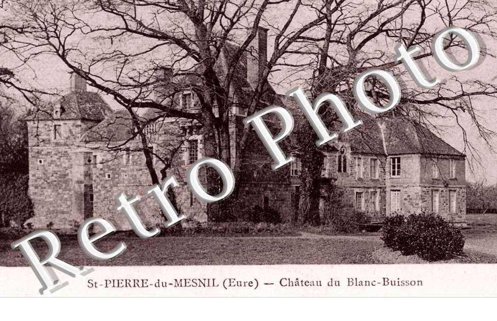 Chateau du Blanc-Buisson
