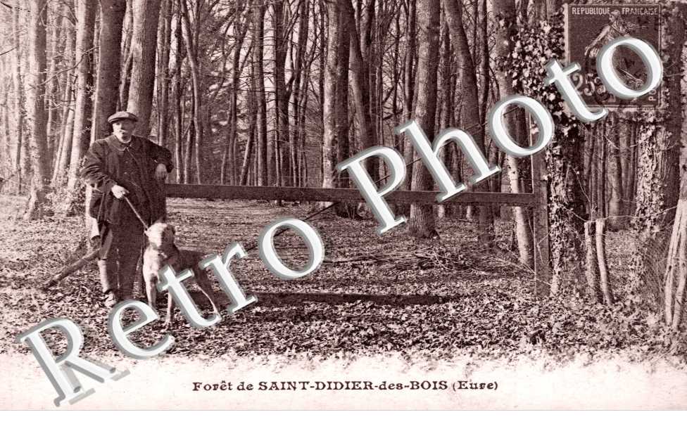 Foret