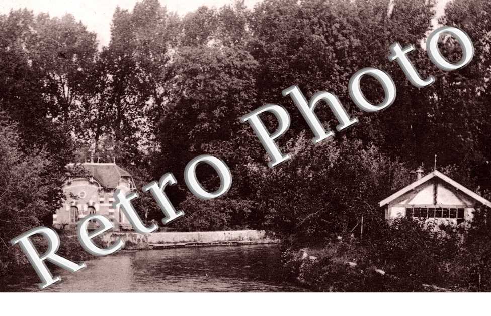 Un canal arbore