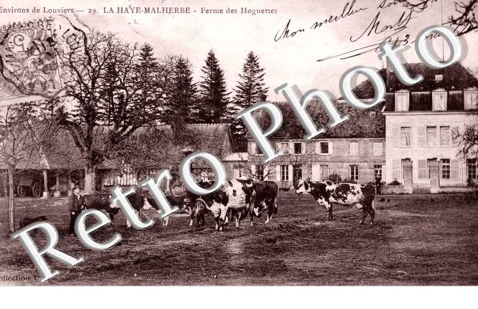 Ferme des Hoguettes