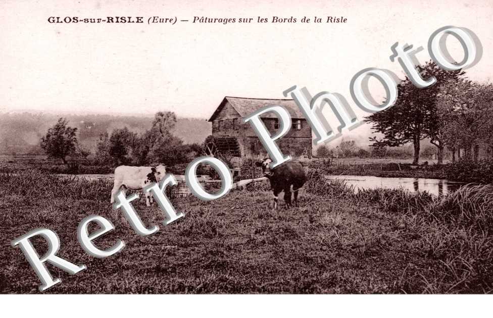 Paturages sur les bords de la Risle