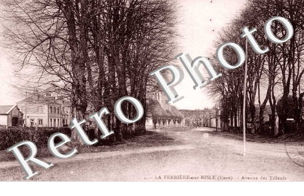 Avenue des tilleuls