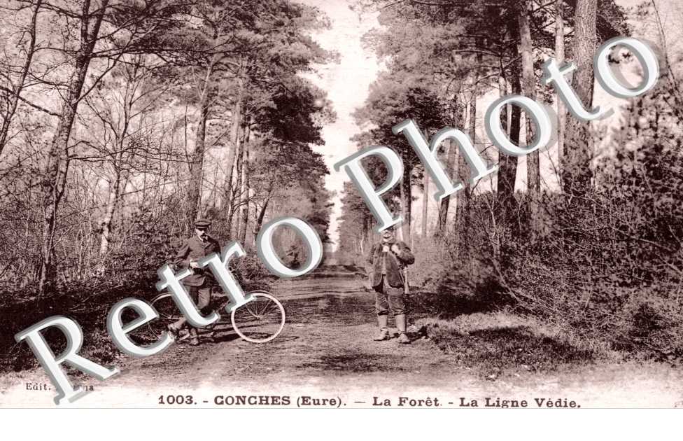 La Foret, la Ligne Vedie
