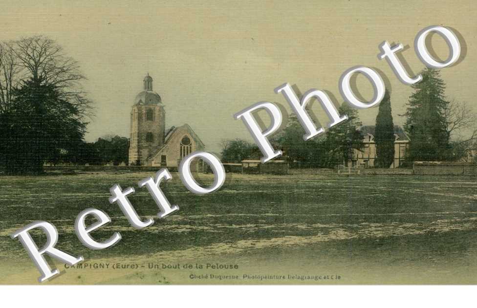 Un bout de la pelouse