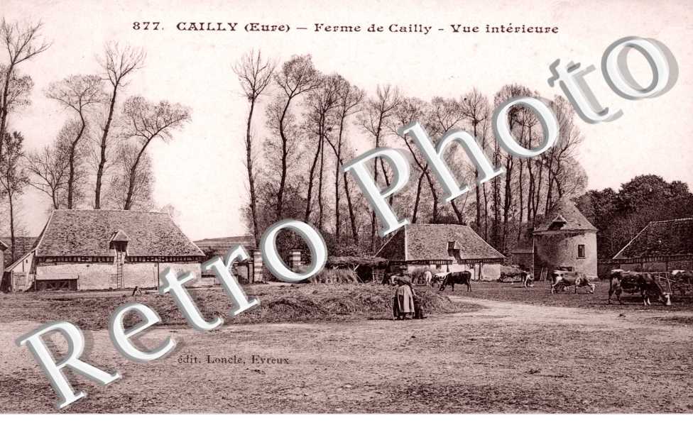 Ferme de Cailly - Vue interieure