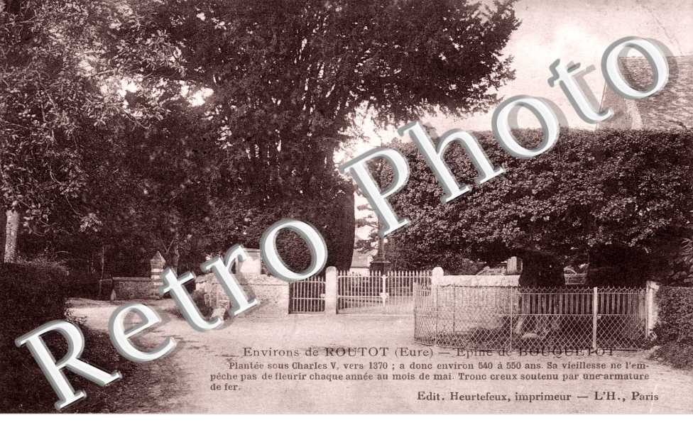 Epine de Bouquetot