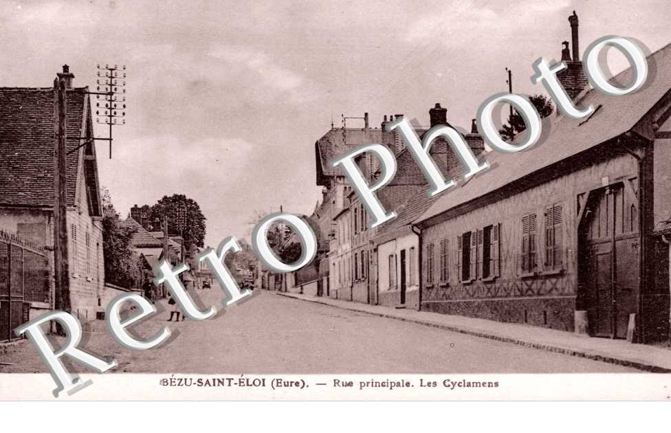 Rue principale - Les Cyclamens