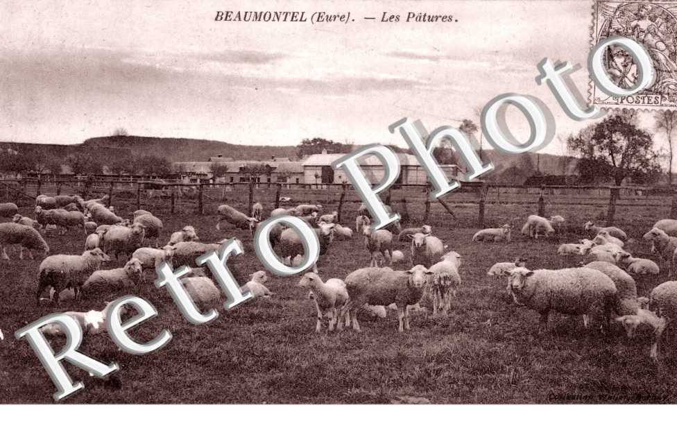 Les patures