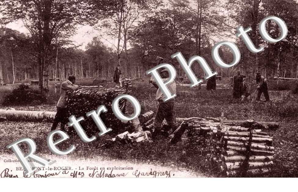 la Foret en exploitation