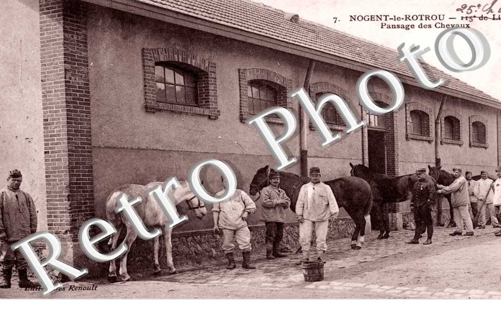 Pansage des Chevaux