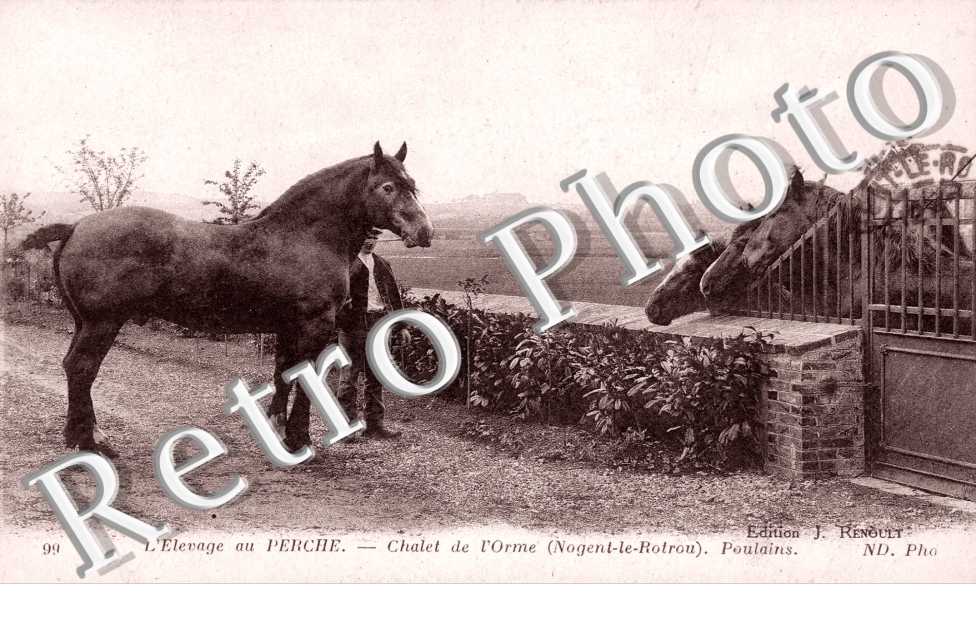 chalet de l'Orme