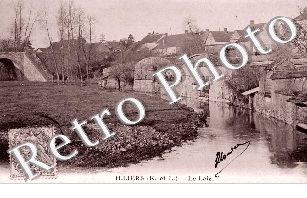 Le loir