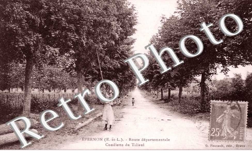 Route Departementale, Cueillette du Tilleul