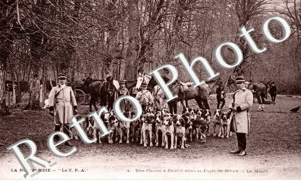 Une chasse a courre dans la foret de Dreux