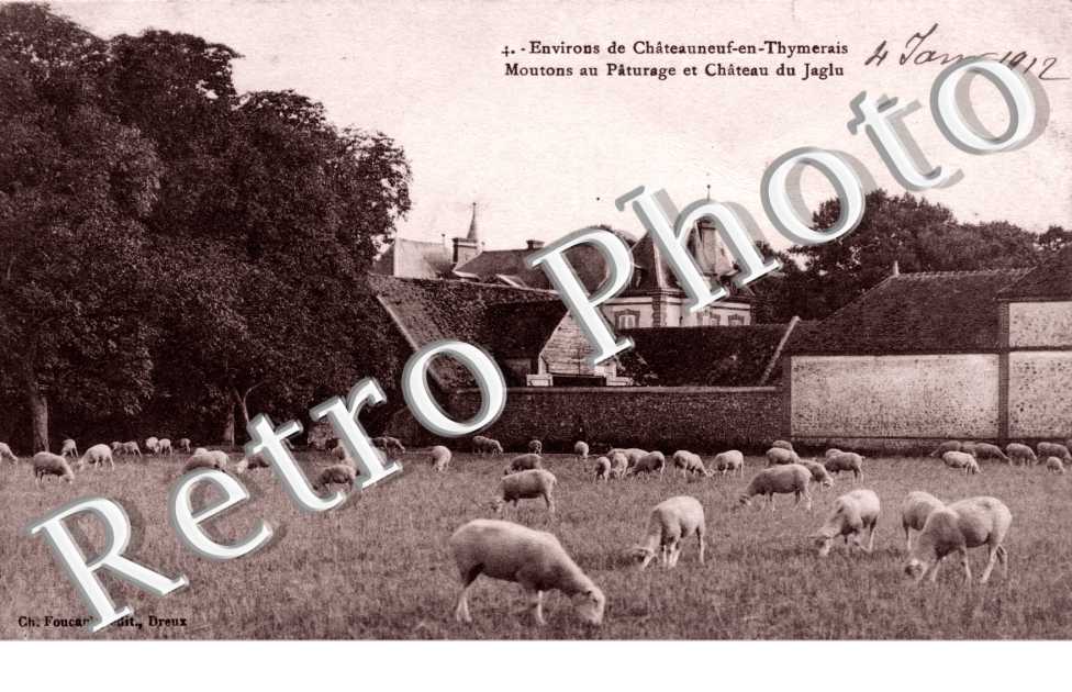 Moutons au paturage et chateau du Jaglu
