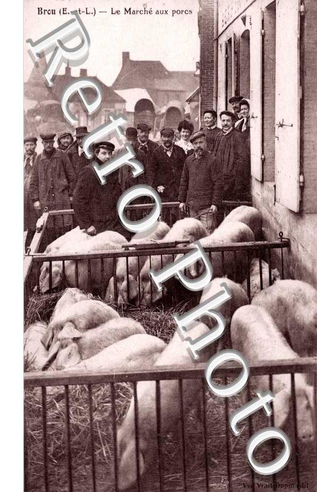Marche aux porcs