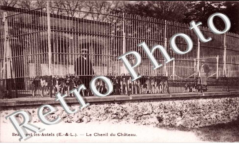le chenil du chateau