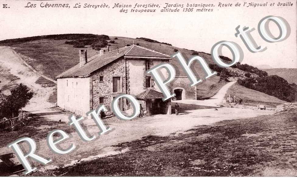 La Sereyrede, Maison Forestiere