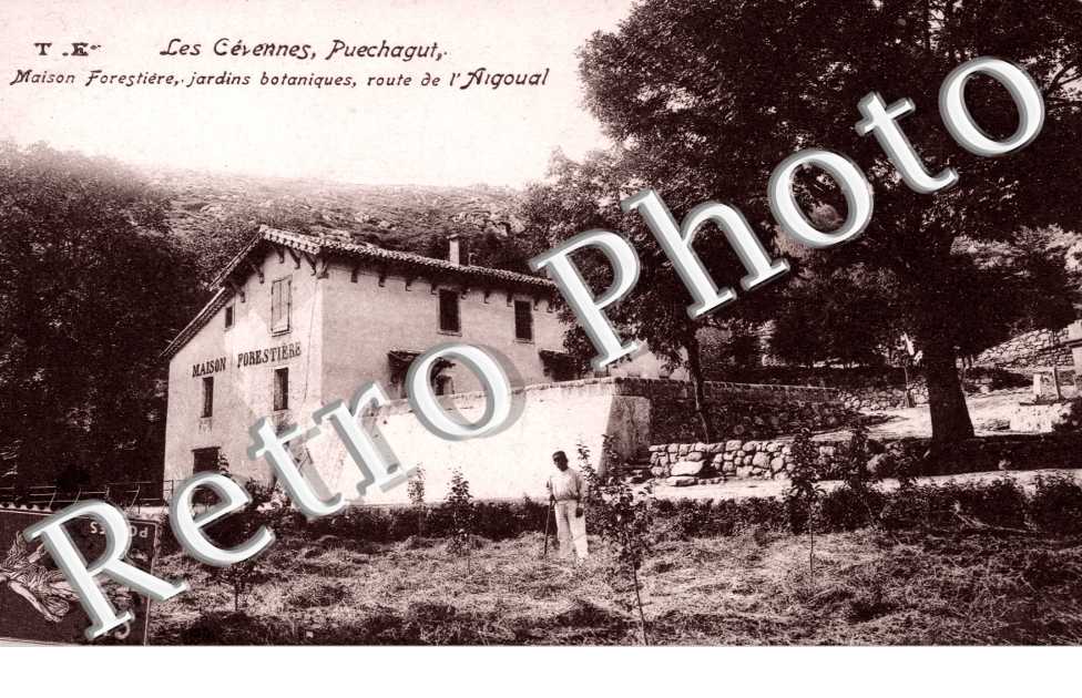 Puechagut, Maison Forestiere, Jardins botaniques