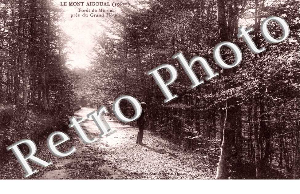 Le Mont Aigoual, Foret du Miquel