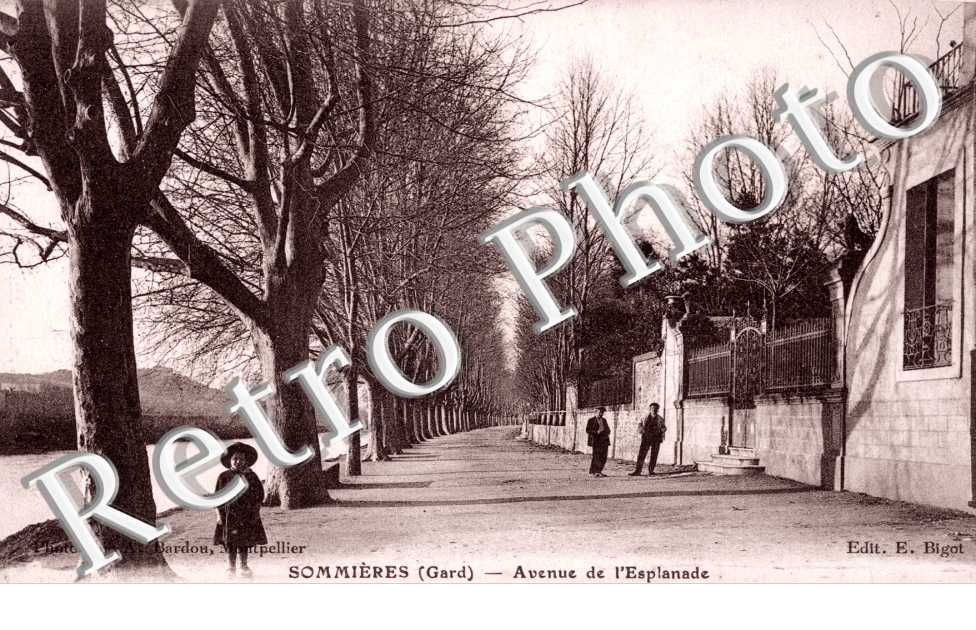 Avenue de l'Esplanade