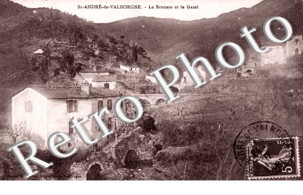 La Brousse et le Gazel