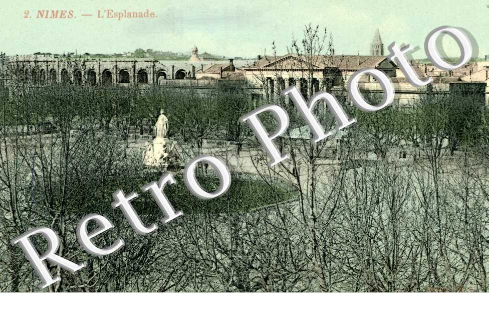 coutumes et courses de taureaux a la provencale (TAUREAUX)