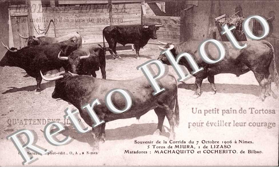 Souvenir de la Corrida