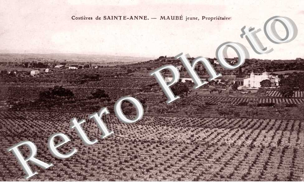 Costieres de Sainte-Anne - Maube Jeune - proprietaire