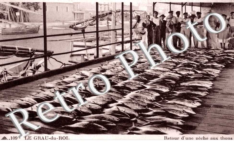 Retour d&#039;une peche aux thons