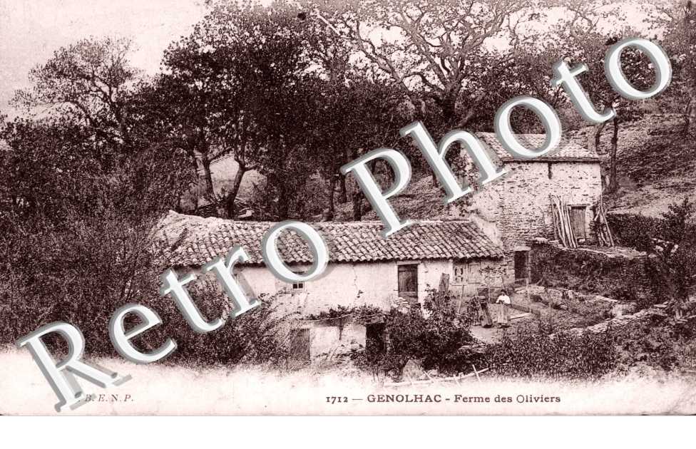 Ferme des Oliviers