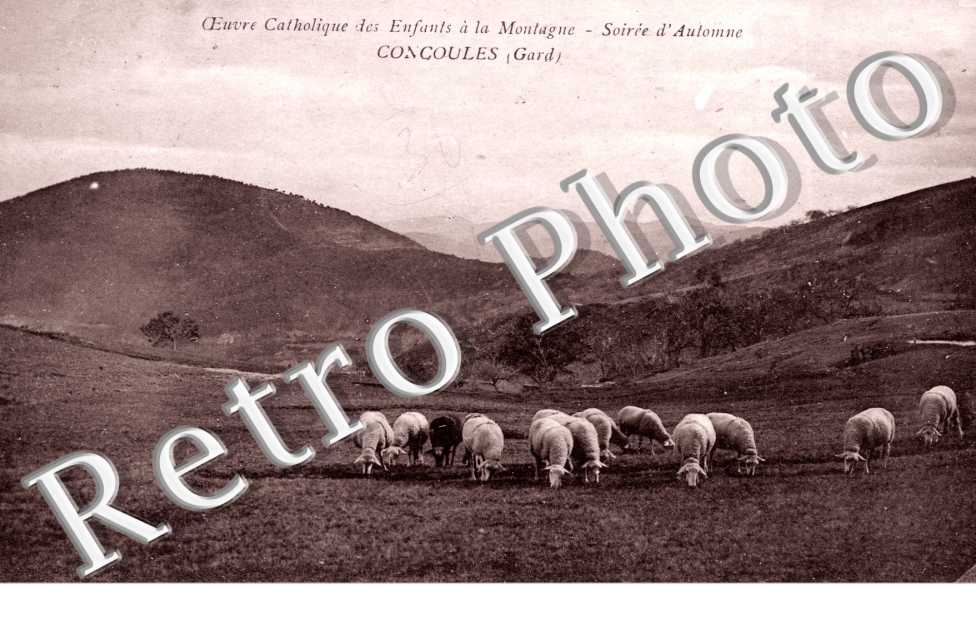 Oeuvre catholique des enfants a la montagne