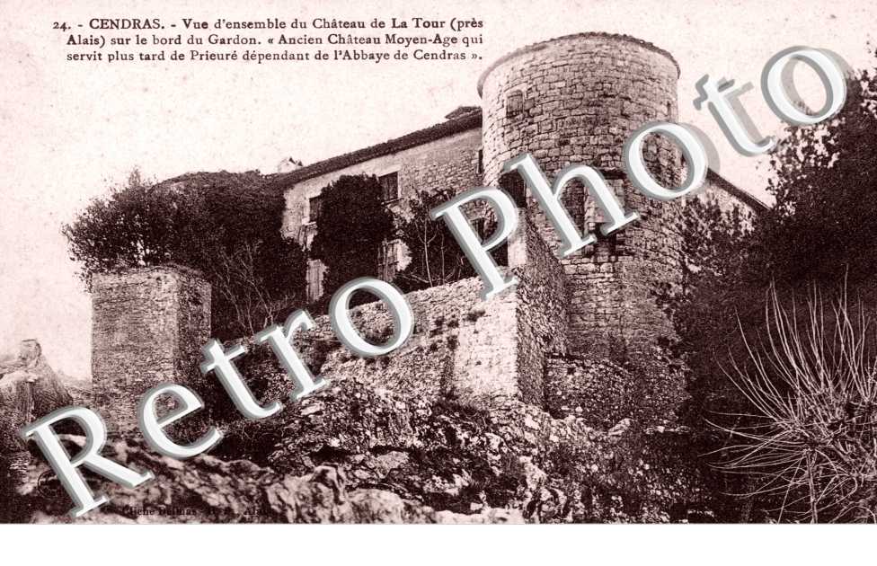 Vue d&#039;ensemble du chateau de la Tour