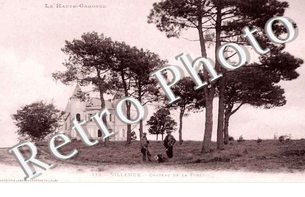 Chateau de la foret