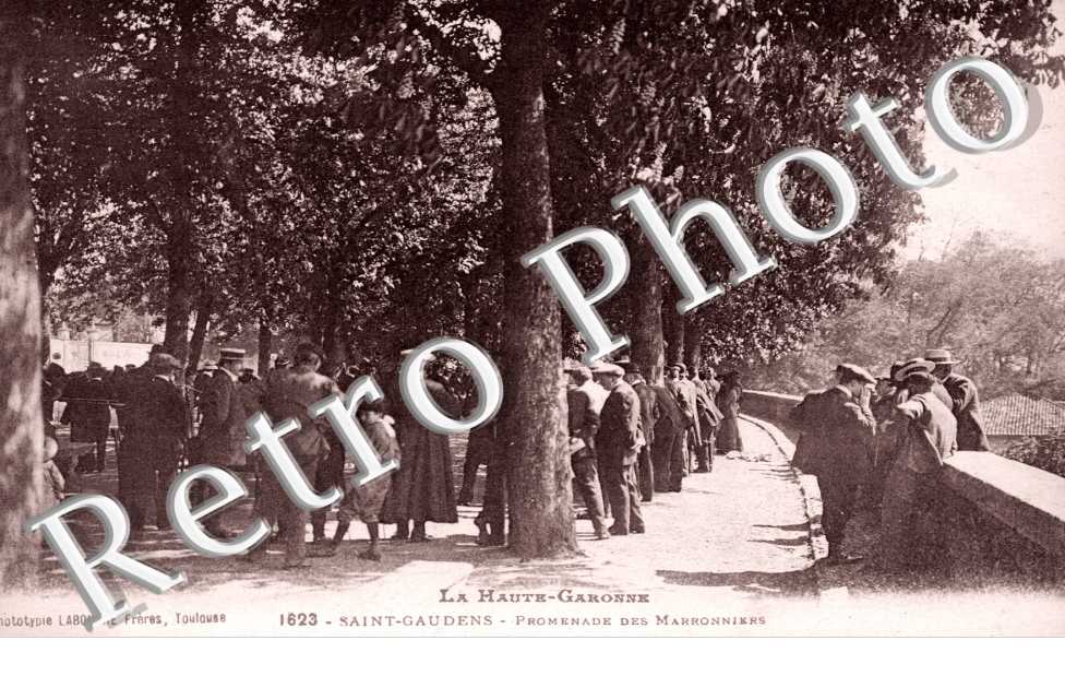 promenade des marronniers