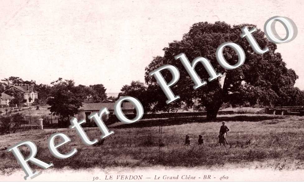 Le Grand chene